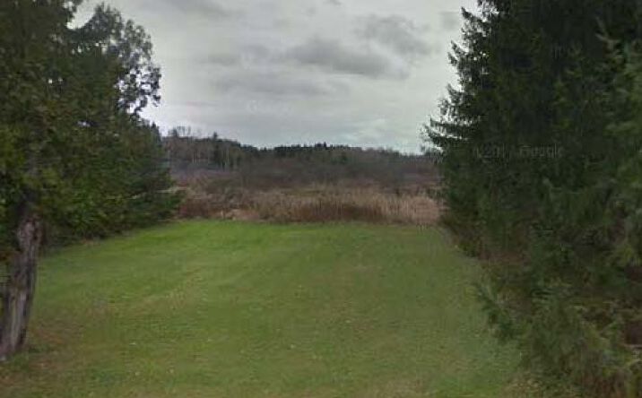Pictures of Land property located at Freeville Rd, Dryden, NY 13053 for sales - image #1