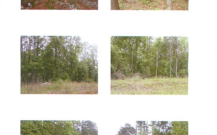 Pictures of Land property located at US 49, Star, MS 39167 for sales - image #1