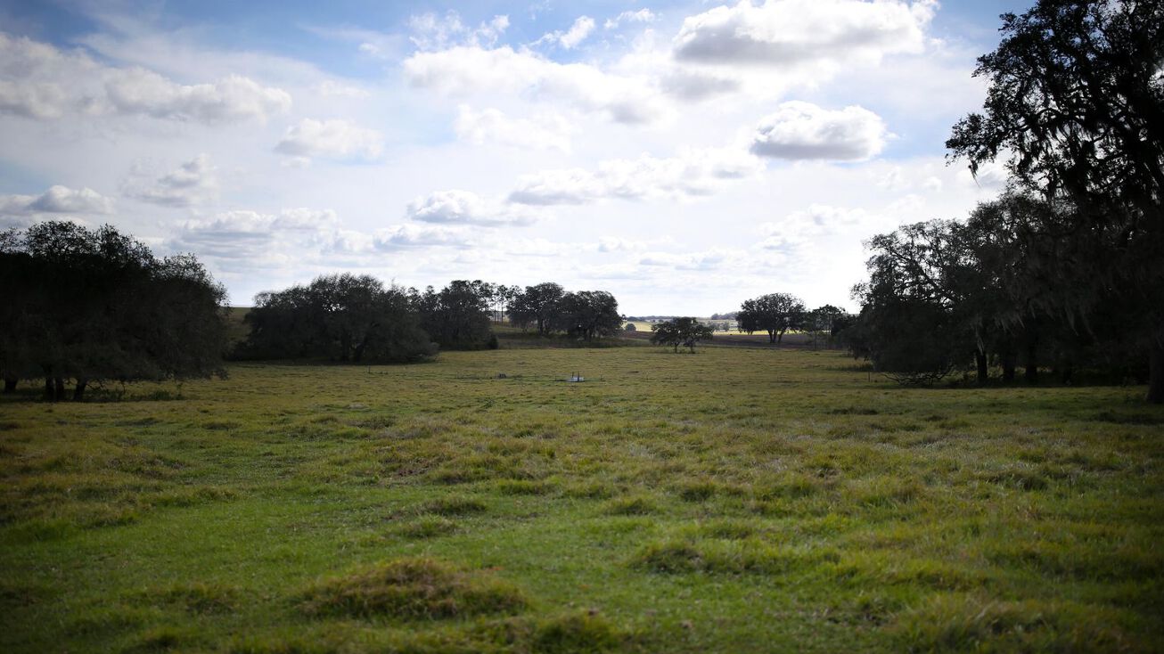 Old Trilby Rd, brooksville, FL 34602