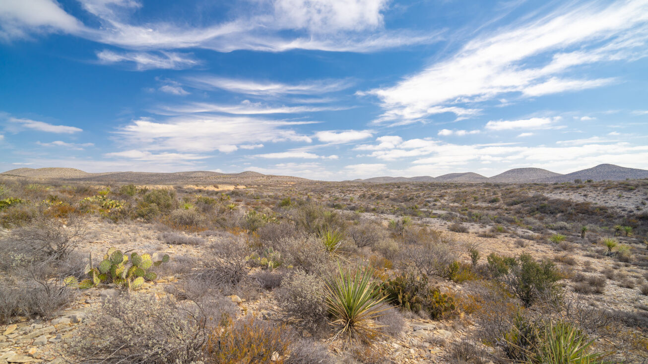 Gallagher Ranch, Laughlin Air Force Base, TX 78840