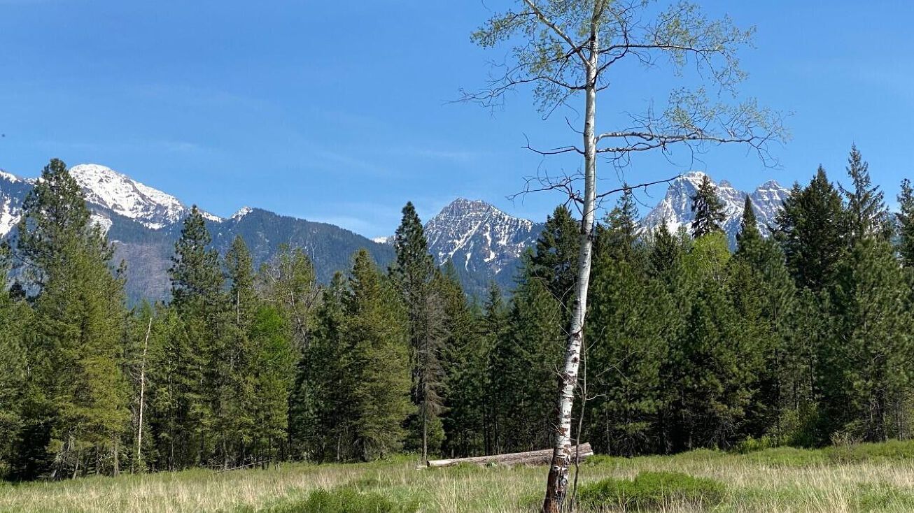 Nhn Middle Creek Trail, Ronan, MT 59864 Land for Sale Nhn Middle