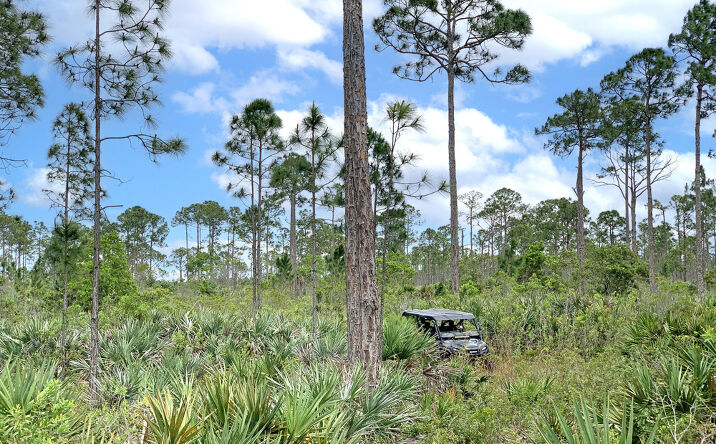 Pictures of Land property located at Pratt Whitney Rd, Indian County, FL 34990 for sales - image #1