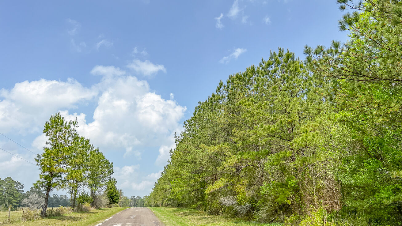 Morrell Rd, Chester, TX 75936 Land for Sale 4 Acres T1 Caney Pines