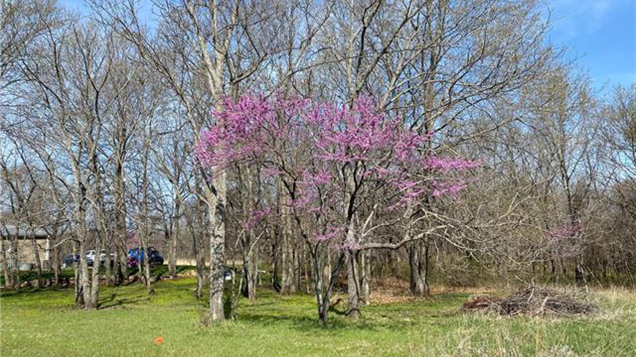 129 Boxelder Drive, Linn Valley, KS 66040