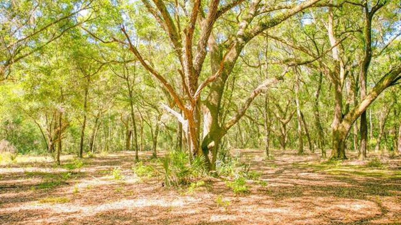 00 CR 315, Interlachen, FL 32148