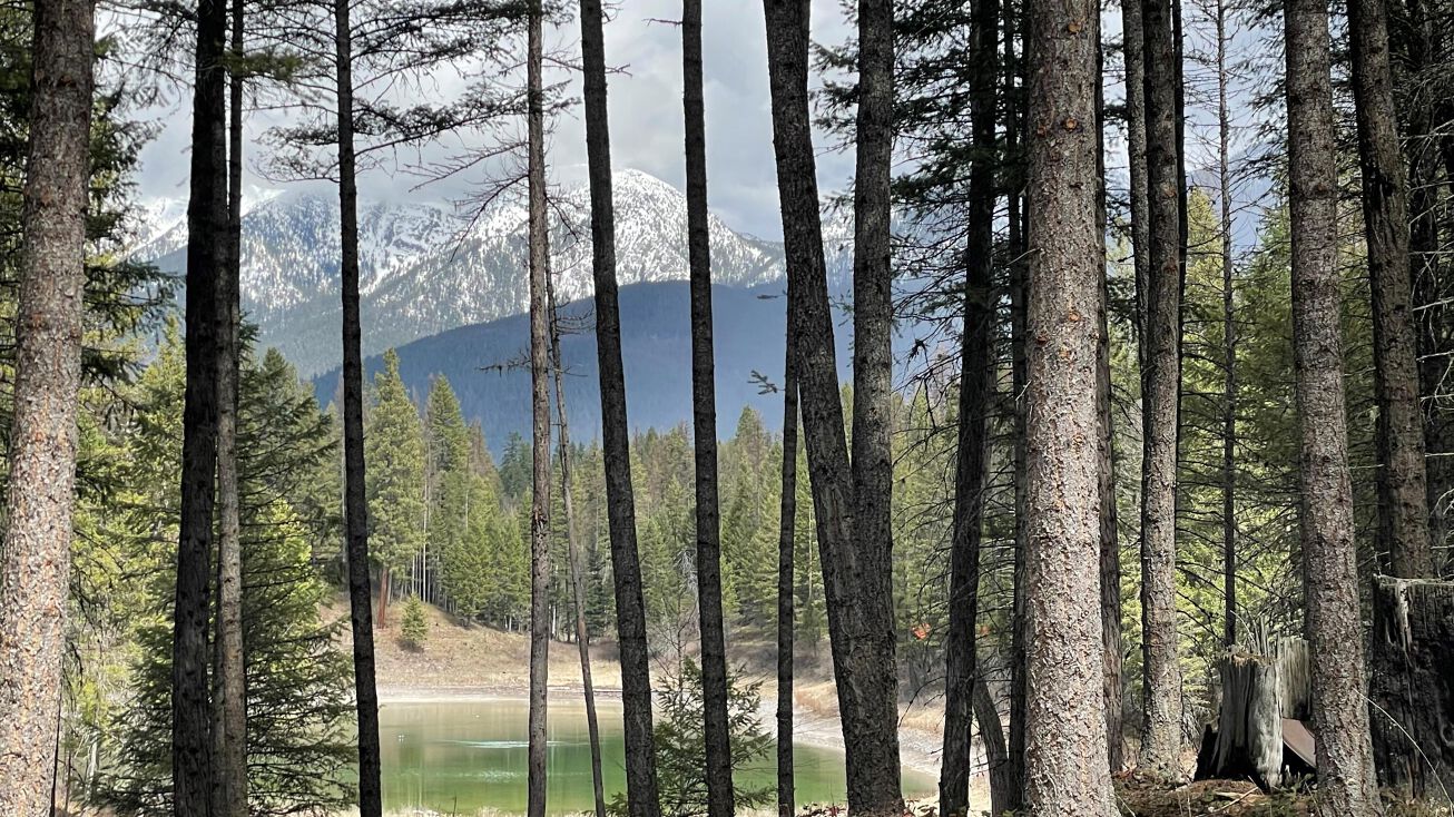 101 Horseshoe Drive, Kalispell, MT 59901