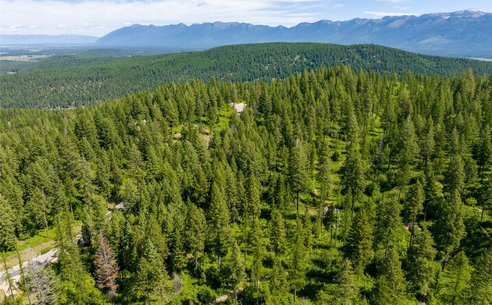 Pictures of Land property located at 121 Pinto Trail, Bigfork, MT 59911 for sales - image #1