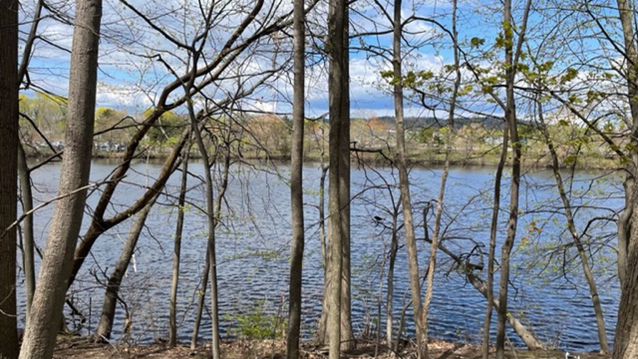 67 Crescent St, Waltham, MA 02453