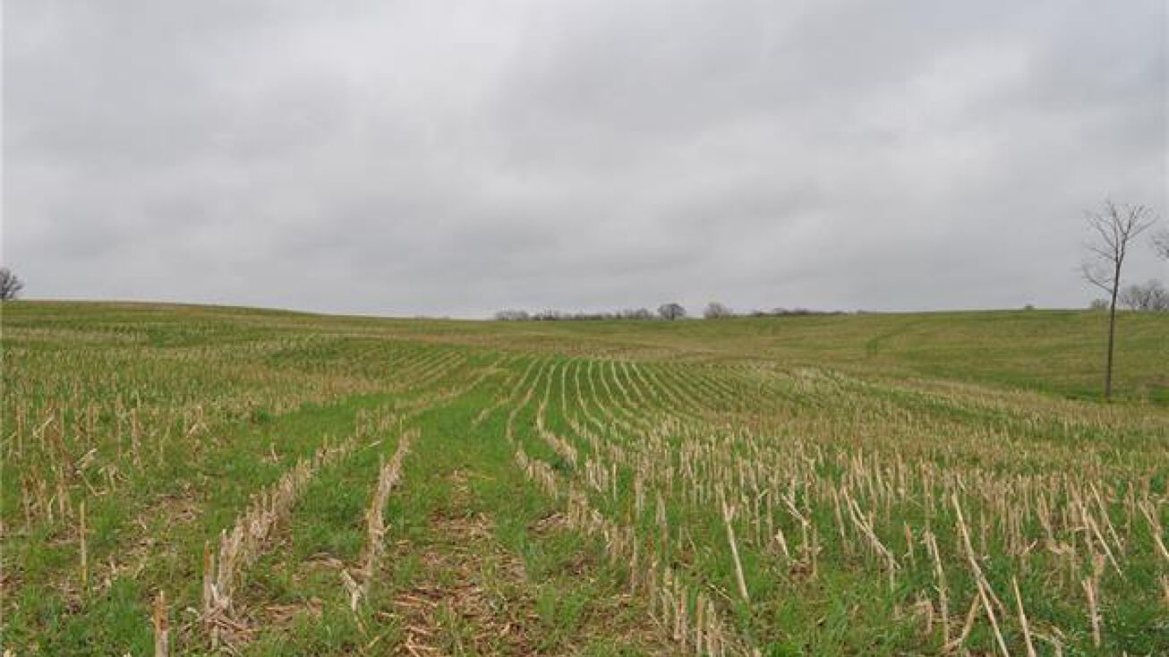 1111 State Hwy W N/A, Maysville, MO 64469