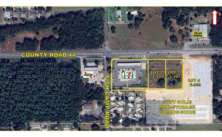 Pictures of Land property located at County Rd 44 & South Fish Camp Rd, Eustis, FL 32735 for sales - image #1