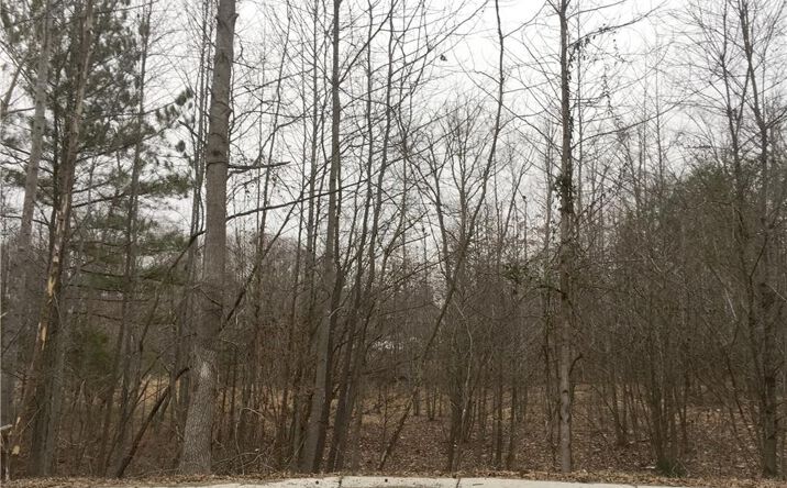 Pictures of Industrial, Land property located at 000 Kennedy Street, Eden, NC 27288 for sales - image #1