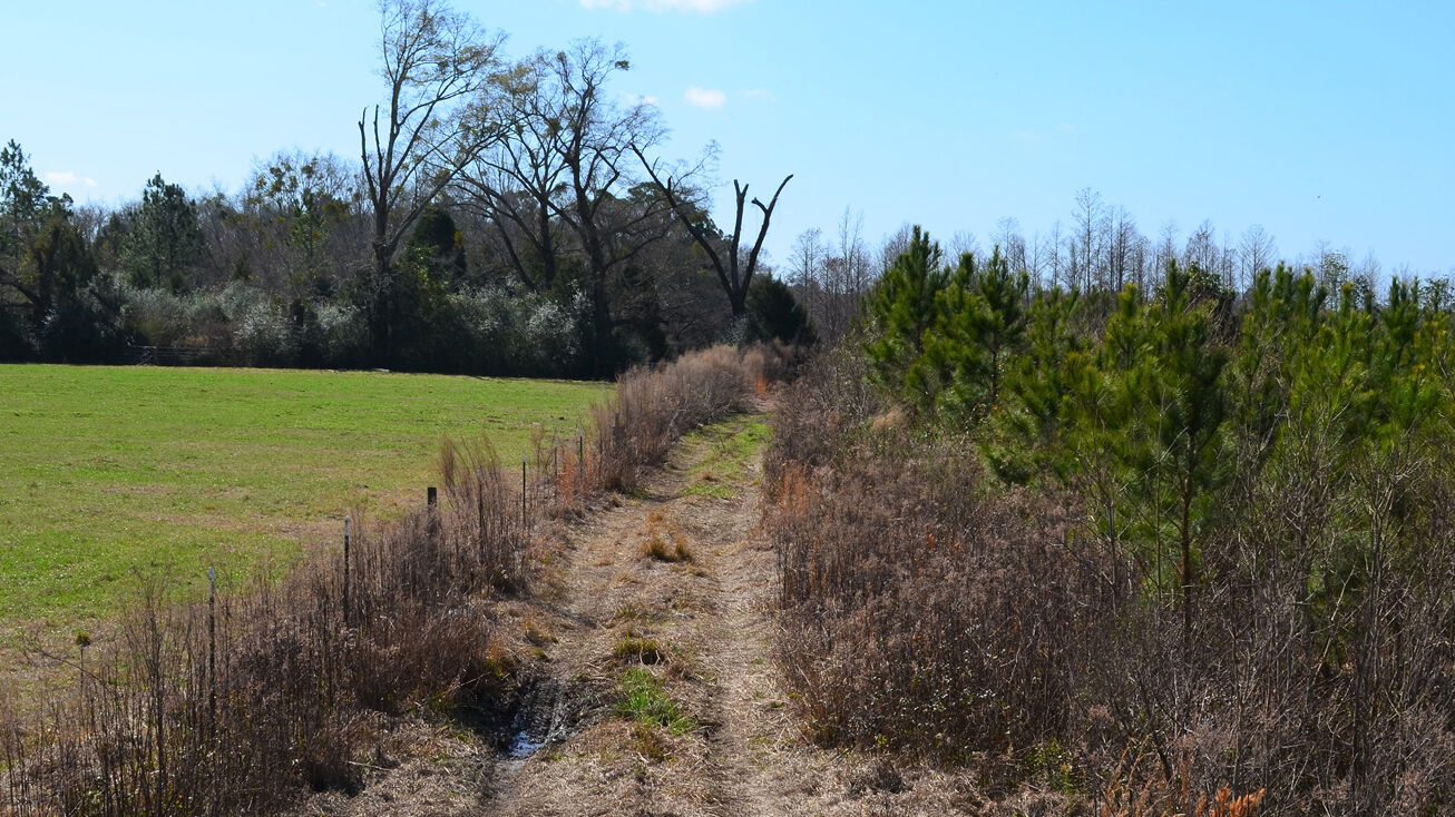 3269 Bonifay Chipley Rd, Bonifay, FL 32425 Land for Sale Holmes