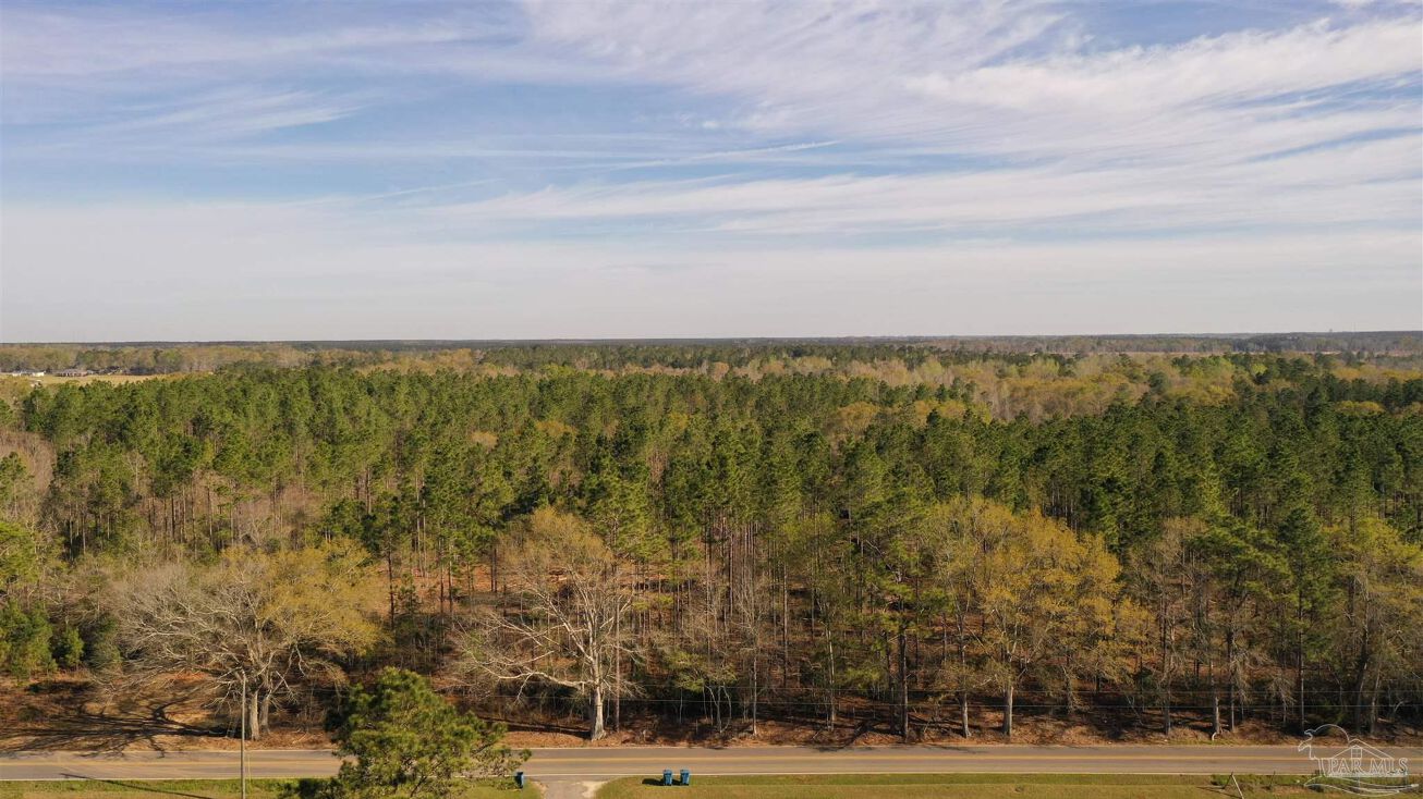 Deere Creek Rd, Atmore, AL 36502 Land for Sale 0 Deere Creek Rd