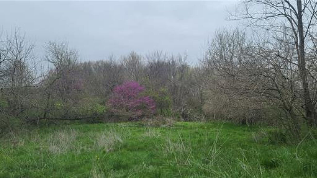 29867 180 Street, Altamont, MO 64620 Land for Sale 180 Street