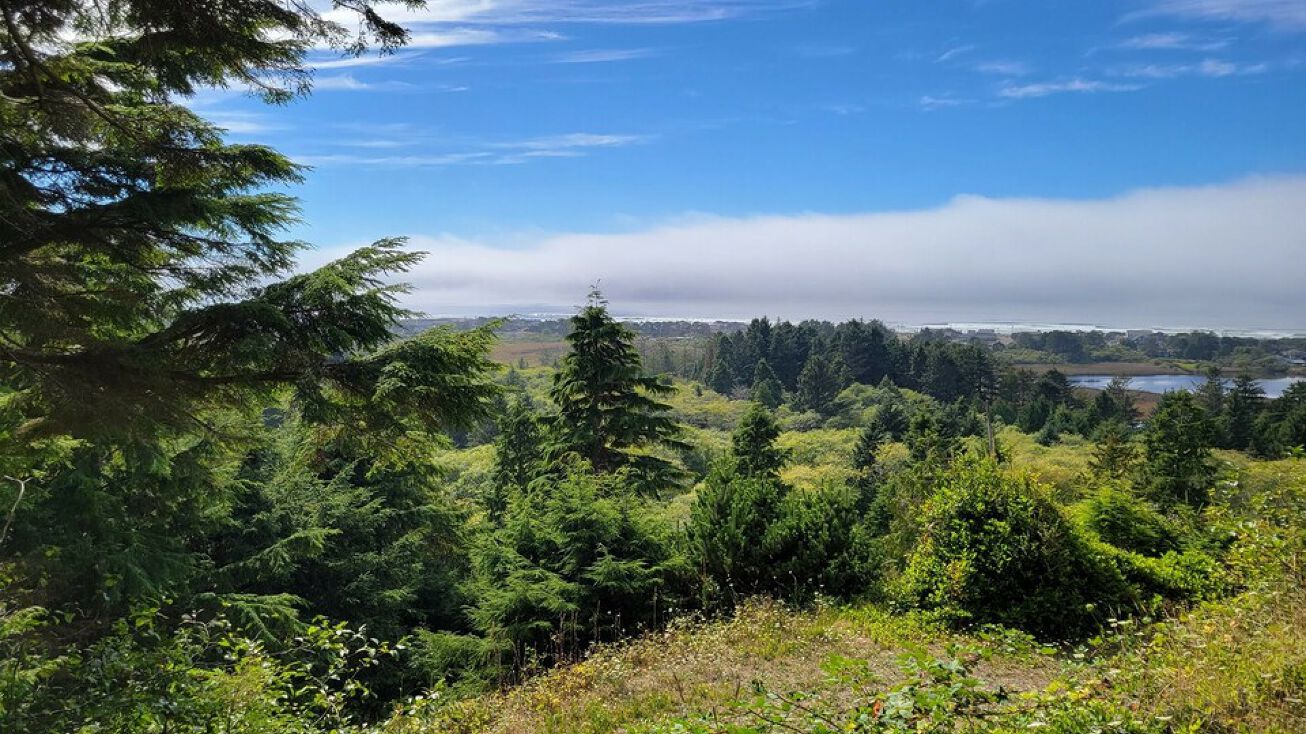 NE 20th Ave, Rockaway Beach, OR 97136