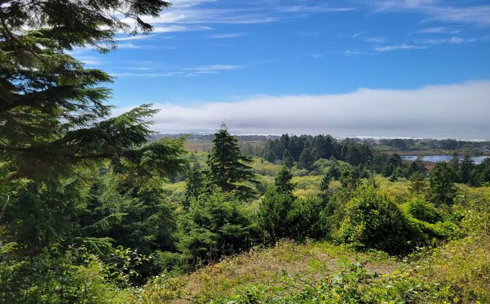Pictures of Land property located at NE 20th Ave, Rockaway Beach, OR 97136 for sales - image #1