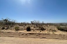 6980213