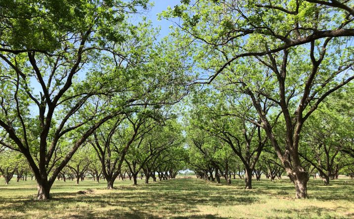 Pictures of Special Purpose property located at 12633 Gholson Rd, Gholson, TX 76705 for sales - image #1