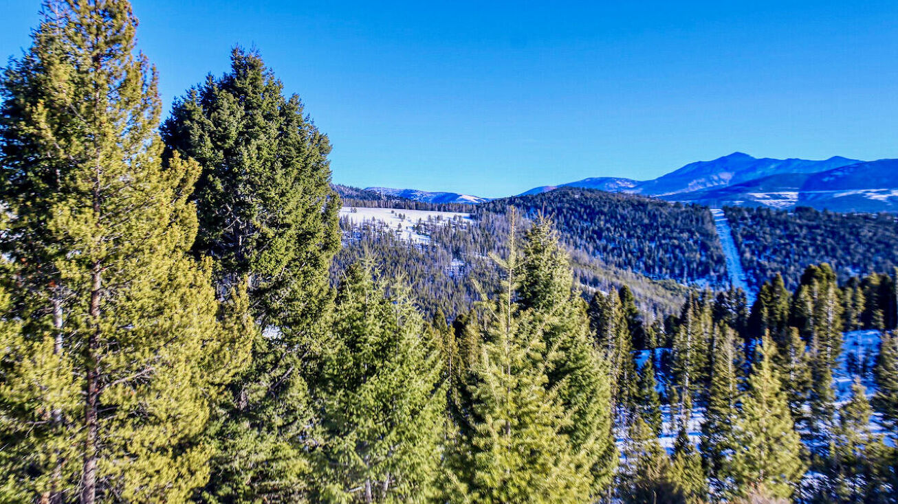 35 Elk Meadows Lane, Anaconda, MT 59711 Land for Sale 35 Elk