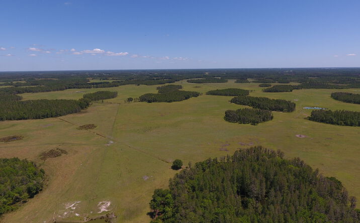 Pictures of Land property located at Rockridge Rd, Lakeland, FL 33809 for sales - image #1