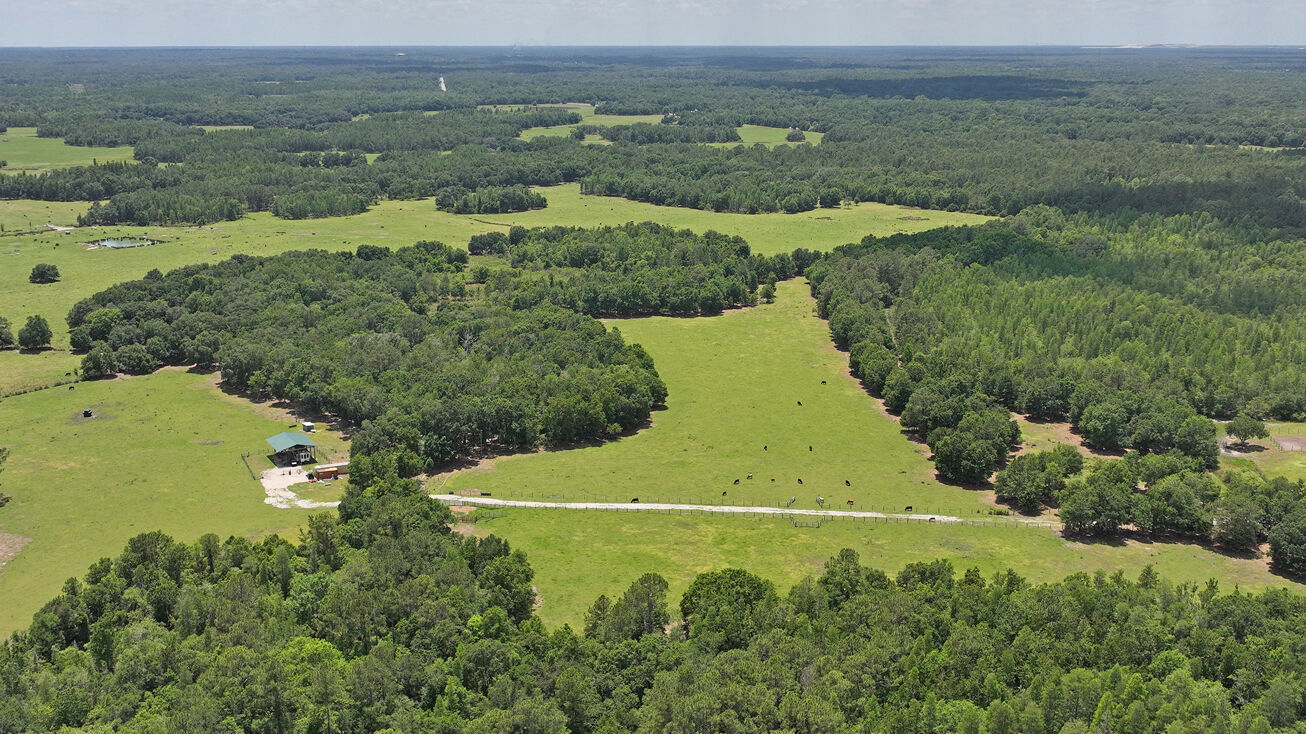 0 Rockridge Rd, Lakeland, US 33809