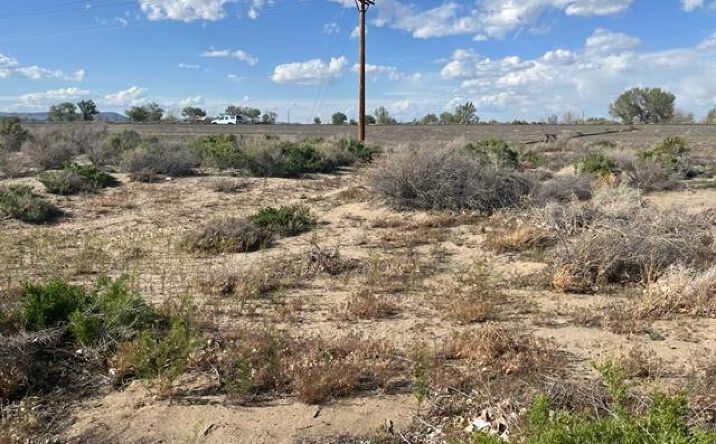 Pictures of Land property located at 8780 Ara, Fallon, NV 89406 for sales - image #1
