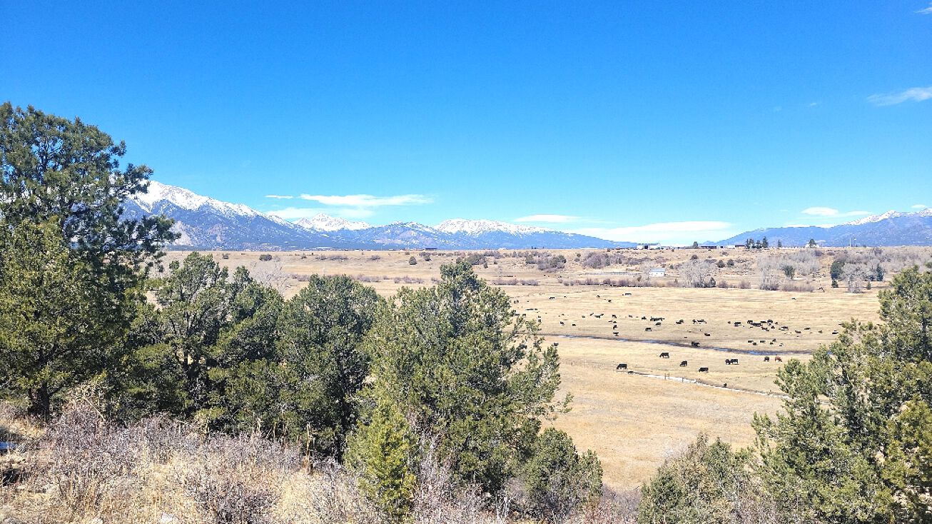 County Road 263, Nathrop, CO 81236