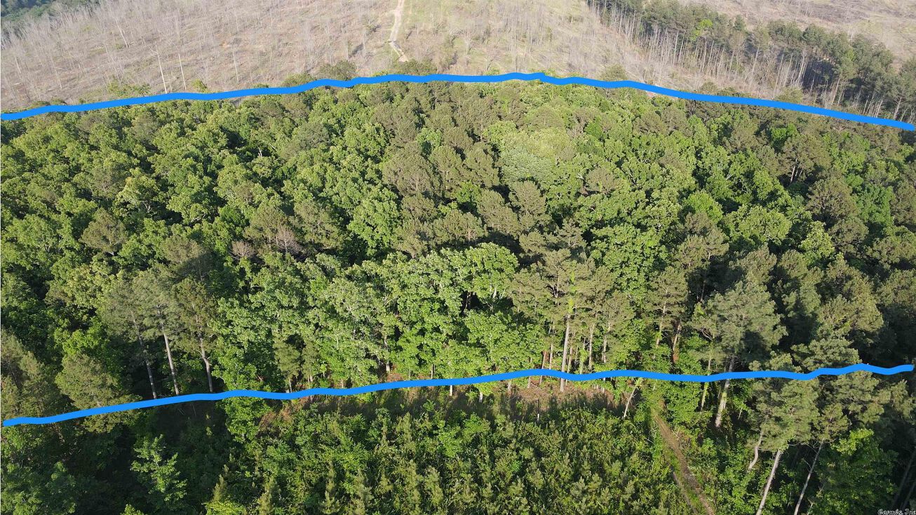 120 Baylor House Road, BIGELOW, AR 72016