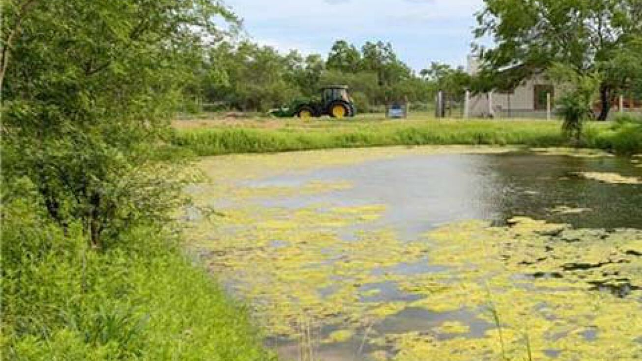 FM1017, Delmita, TX 78536 Land for Sale E FM 1017 Delmita