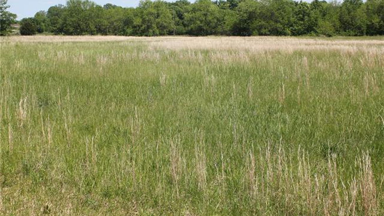 S Bethel Road, Pleasant Hill, MO 64080 Land for Sale S Bethel Road