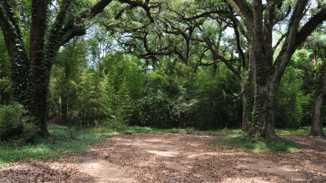 6210 Commerce Street, Saint Francisville, LA 70775