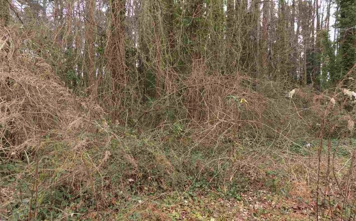 Pictures of Land property located at E Granville St, Dunn, NC 28334 for sales - image #1