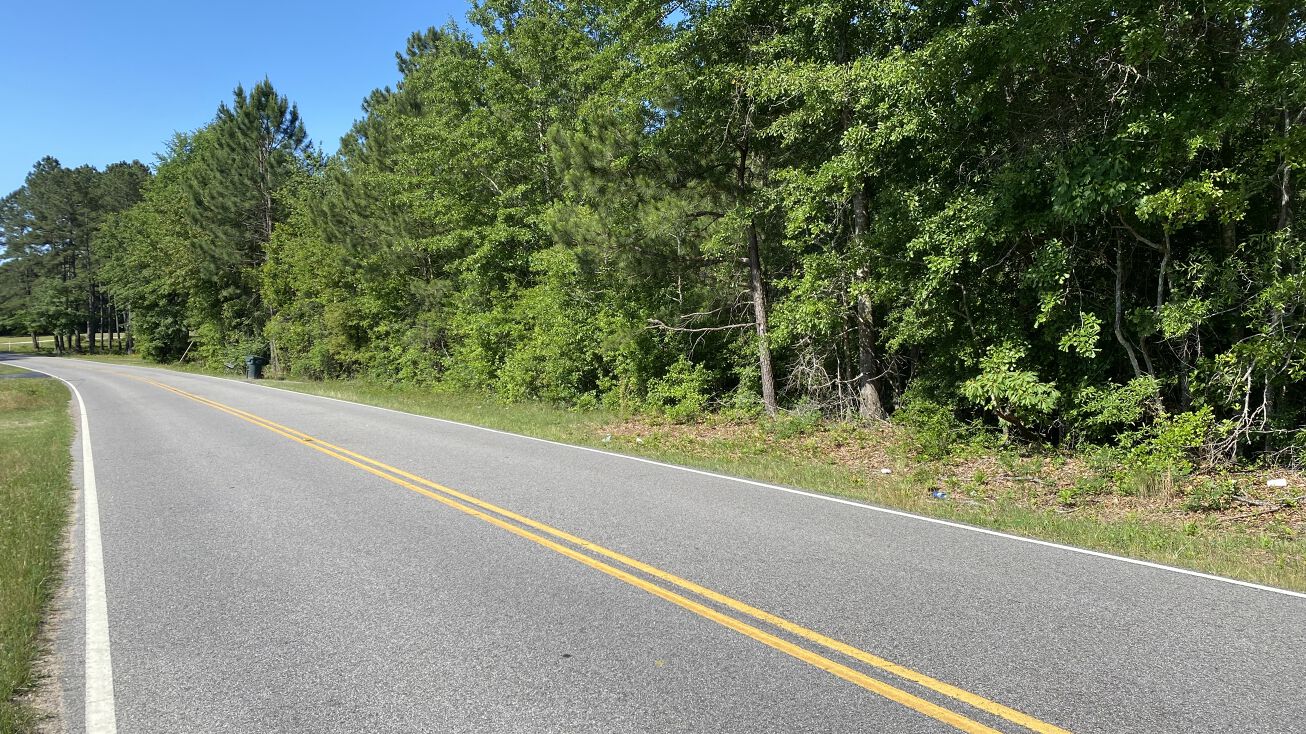 Old Whiskey Rd N, New Ellenton, SC 29809