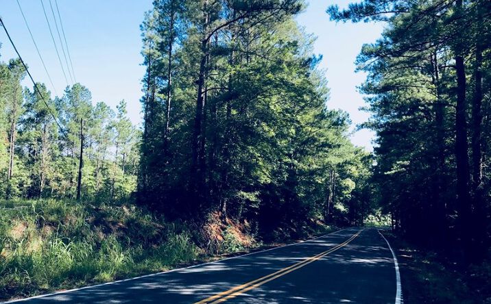 Pictures of Land property located at 305 - 321 Dubard Boyle Rd, Lots #18-22, Columbia, SC 29203 for sales - image #1