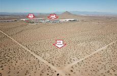 7069878