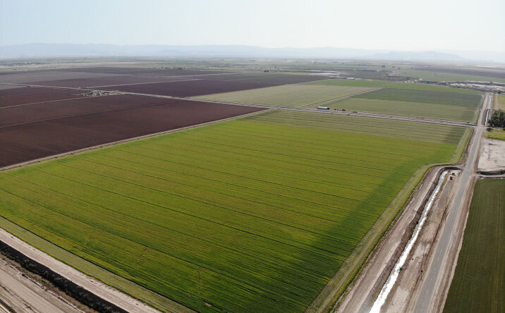 Pictures of Land property located at Wienert Rd, Imperial, CA 92251 for comps - image #1