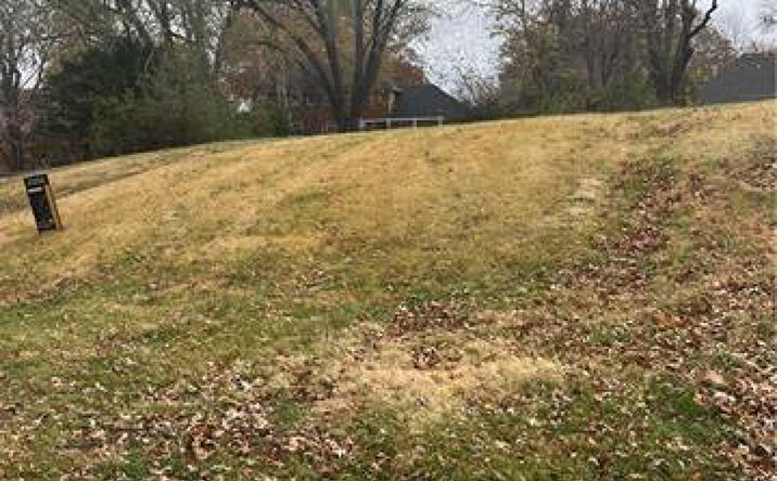 Pictures of Land, Multifamily property located at 1727 N 79 Terrace, Kansas City, KS 66112 for sales - image #1