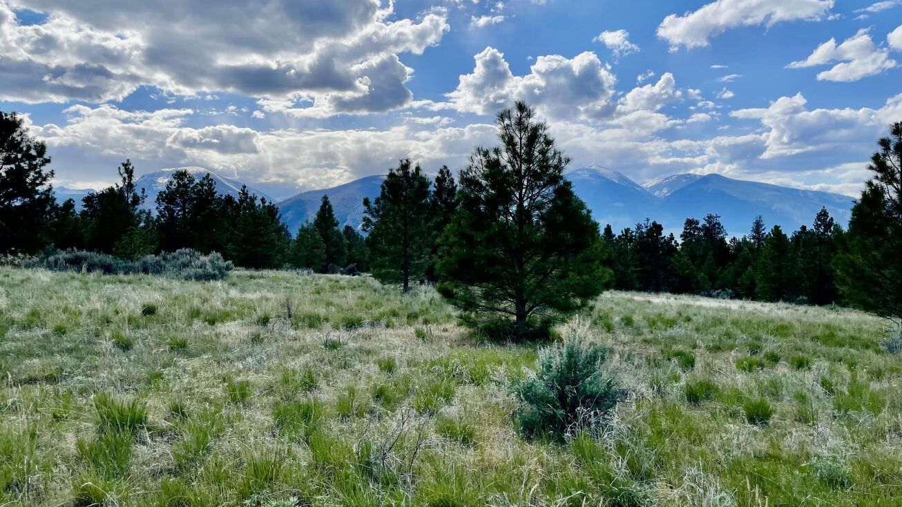 Parcel 33b Ashmore Way, Florence, MT 59833 Land for Sale Parcel 33b