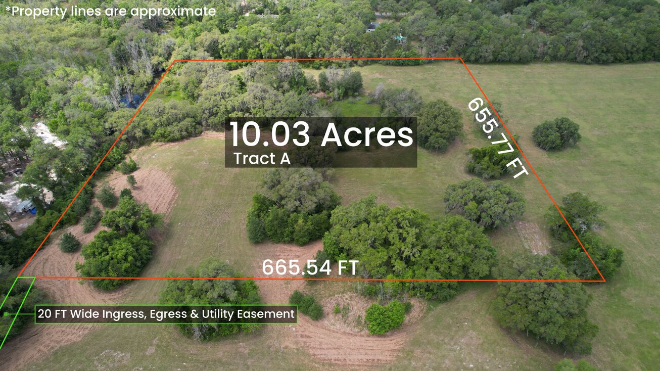 Spring Prairie Rd, Brooksville, FL 34601 Land for Sale Spring