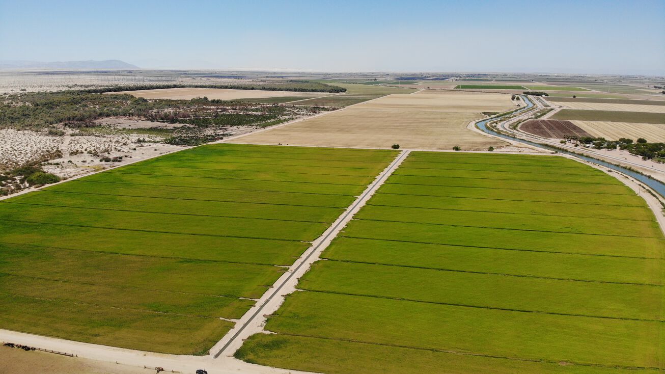 Westside Main Canal, Calexico, CA 92231