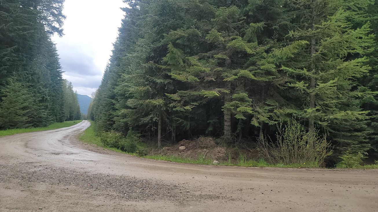 200 Cedars Drive, Yaak, MT 59935 Land for Sale 200 Cedars Drive