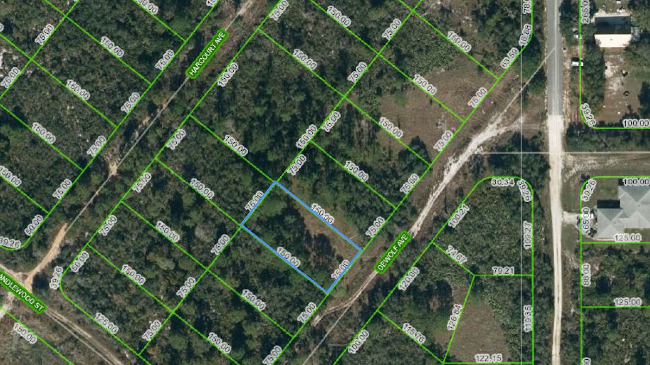 206 Dewolf Ave, Lake Placid, FL 33852