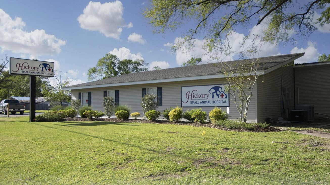 40008 Hickory Ln, Ponchatoula, LA 70454