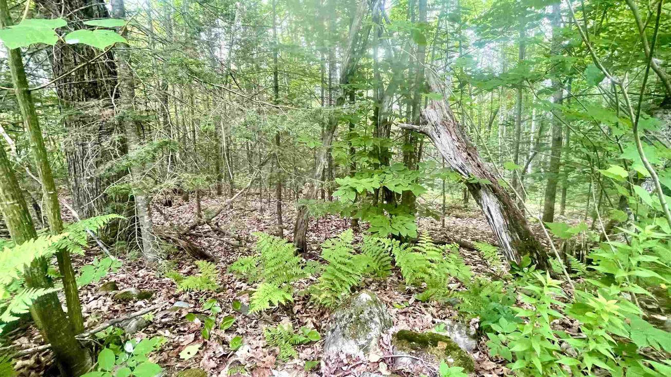 0 Bray Hill Rd, Whitefield, NH 03598