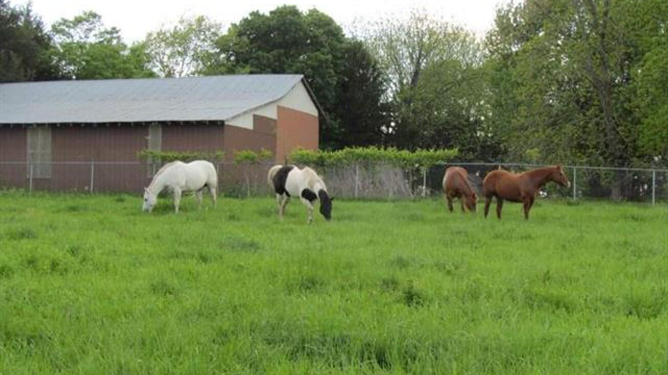 Tract 2 Renick Road, Oak Grove, MO 64075