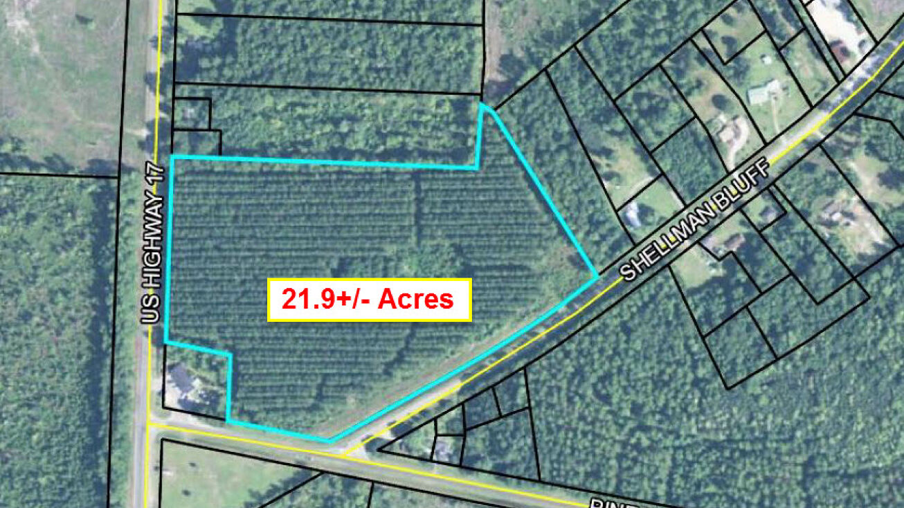 Shellman Bluff Rd NE, Shellman Bluff, GA 31331
