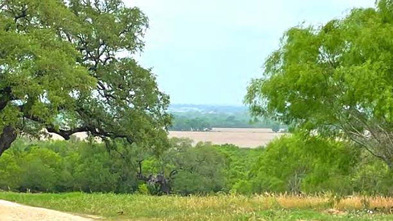 6868 FM 1303, Floresville, TX 78114 Land for Sale Flores De Abrego