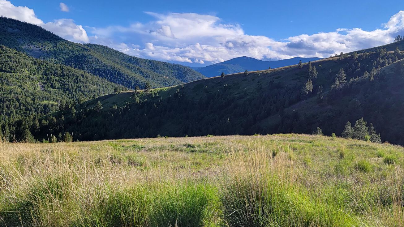 Nhn Mclaughlin Creek Road, Paradise, MT 59856 Land for Sale Nhn