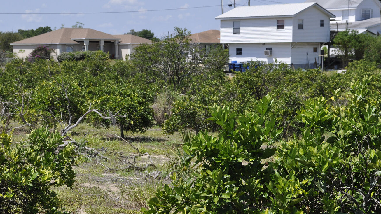 0 F St W, Frostproof, Florida 33843, Frostproof, FL 33843