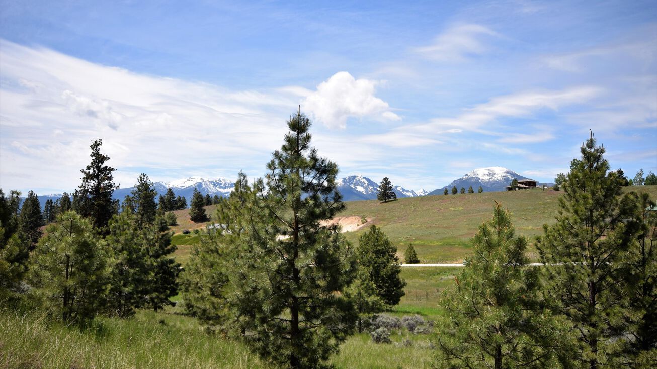 Nhn Fox Gulch Road, Stevensville, MT 59870 Land for Sale Nhn Fox
